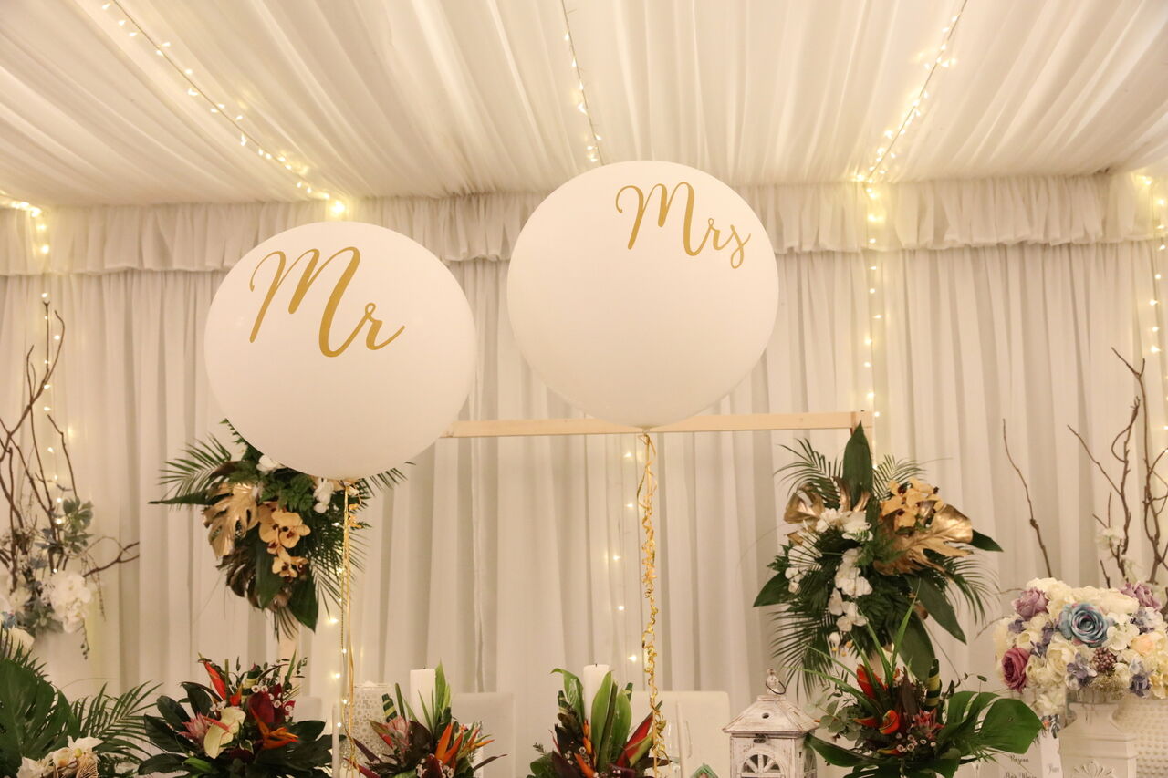 Cort Cherry I & Cherry II