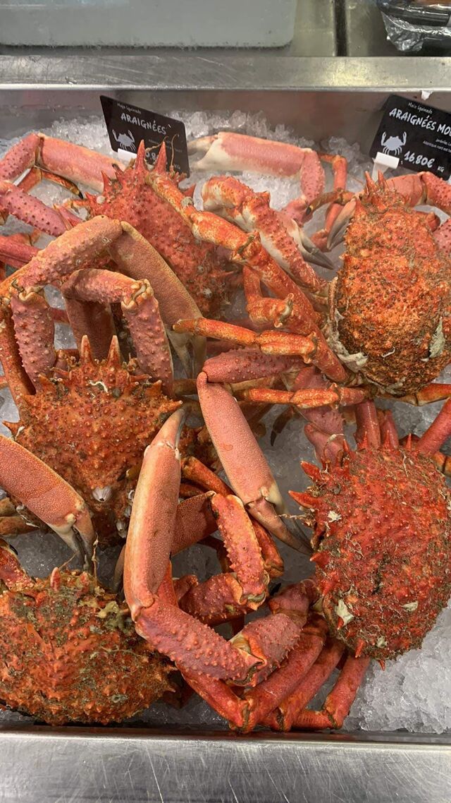 Araignées cuites