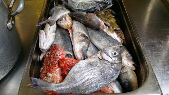 arrivage de poissons frais régulié