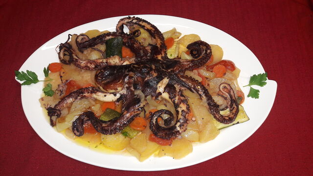 Octopus -