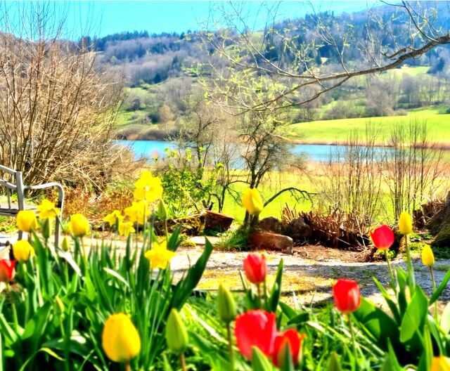 Un panorama apaisant et ressourçant