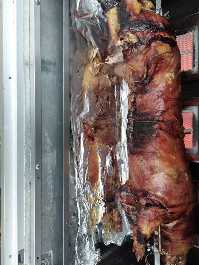 Petit cochon. 30kg