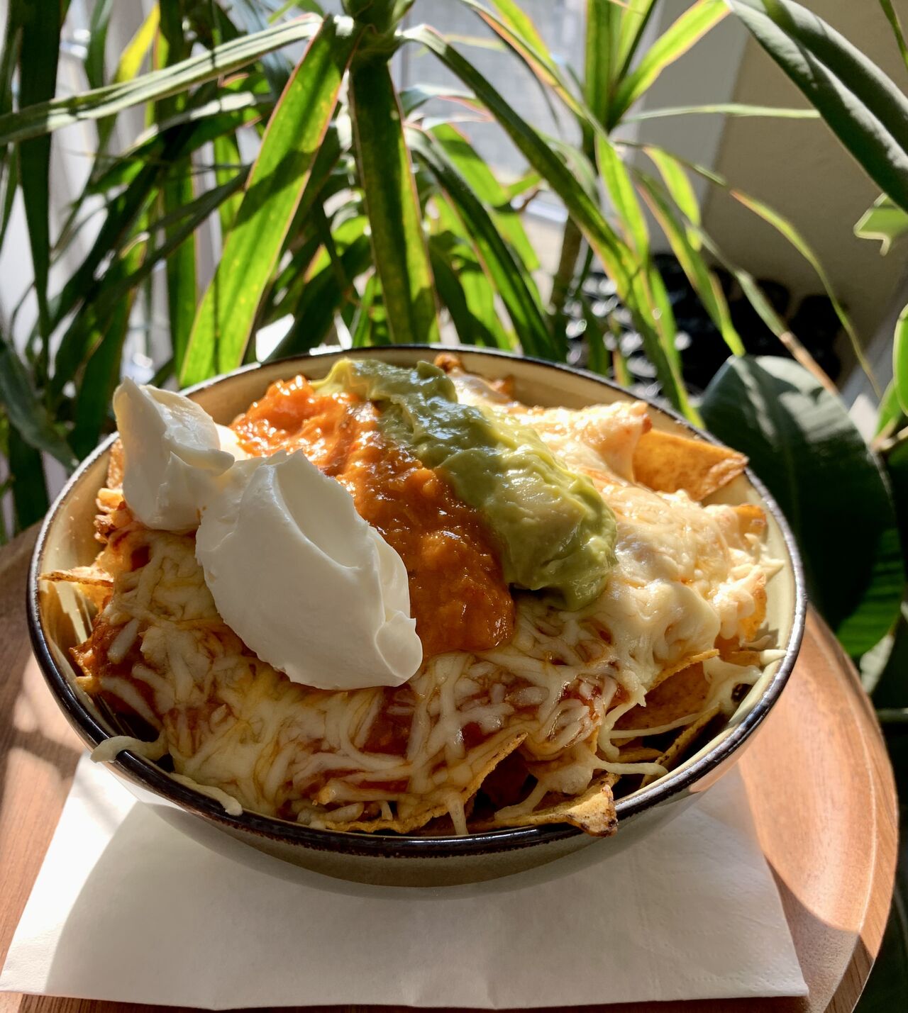 Nacho’s van het huis