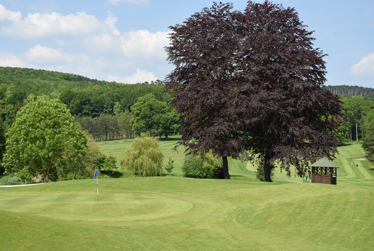 Blick von unserer Terrasse