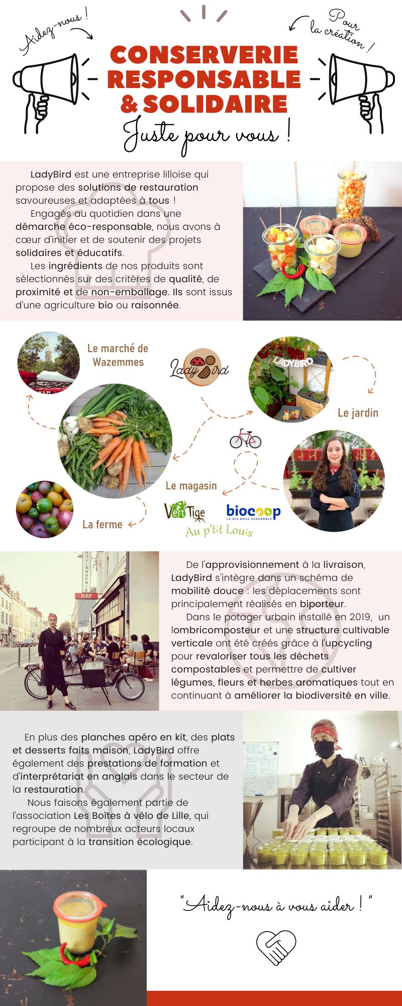 Infographie LadyBird