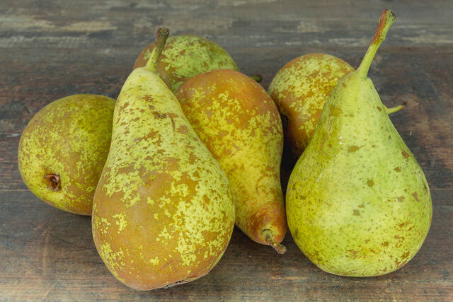 Poire conférence - 2,41€/kg