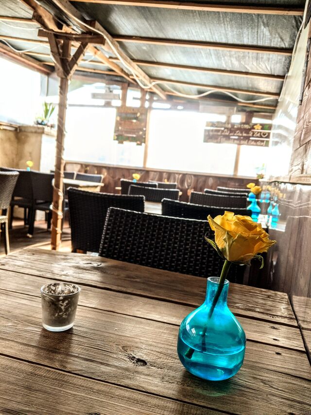 Kleine Impression aus dem kleinen, gemütlichen, windgeschützen und beheizten Wintergarten.