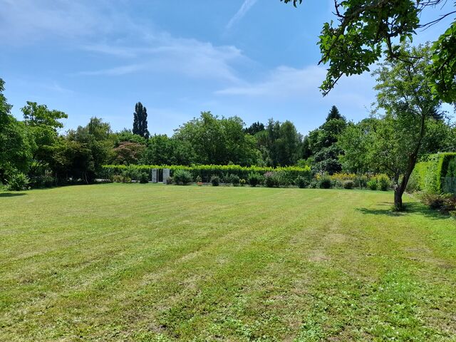 Une partie du jardin