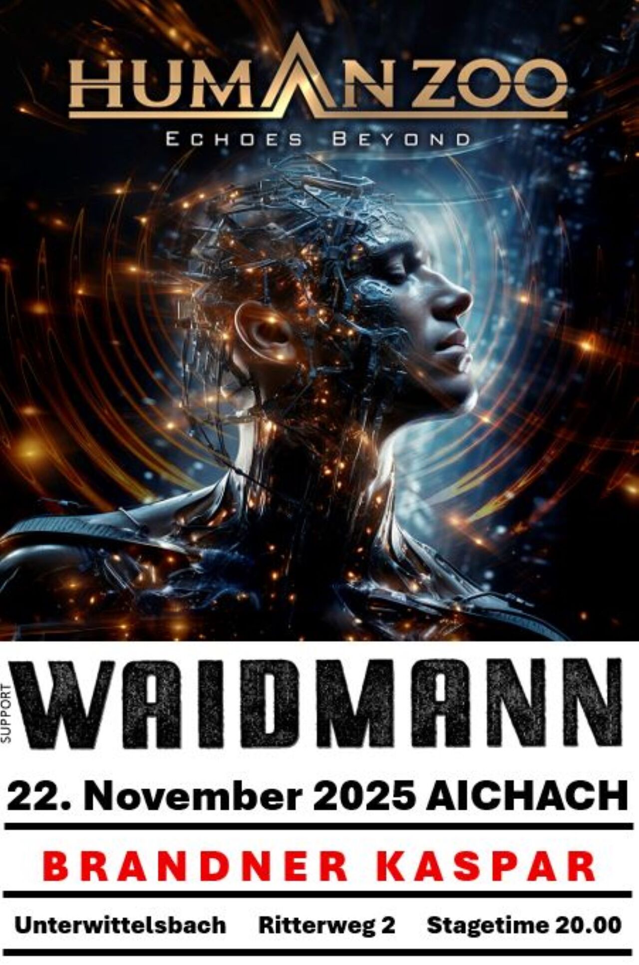 Human Zoo & Waidmann live im Brandner
