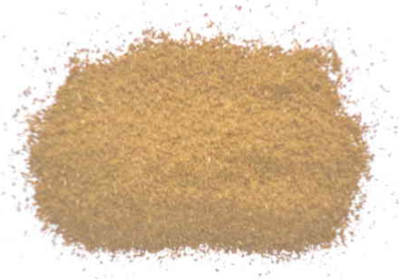 Céleri moulu - 40gr - 2,00€