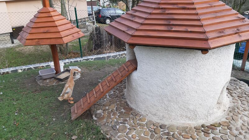 Venkovní welness centrum pro z kačeny a želvy z konopného betonu. 