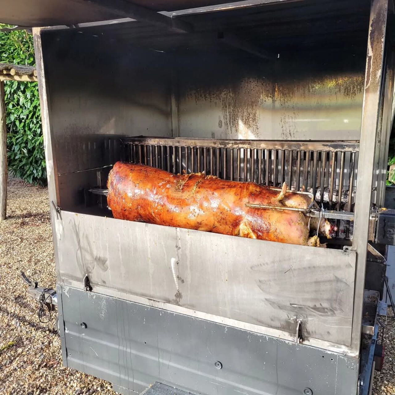 Tout Est Bon Dans Le Cochon