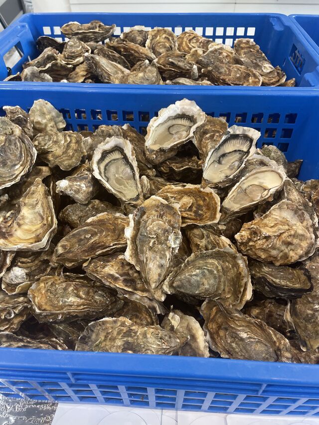 Huîtres 