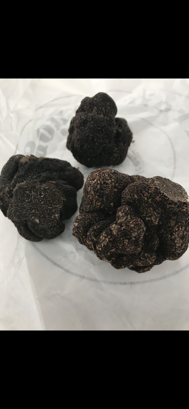 TRUFFES NOIRES 