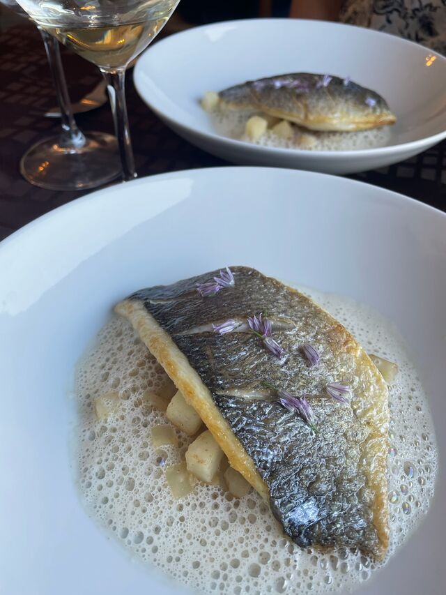 Filet de dorade royal, céleri poêlées, sauce Noilly Prat