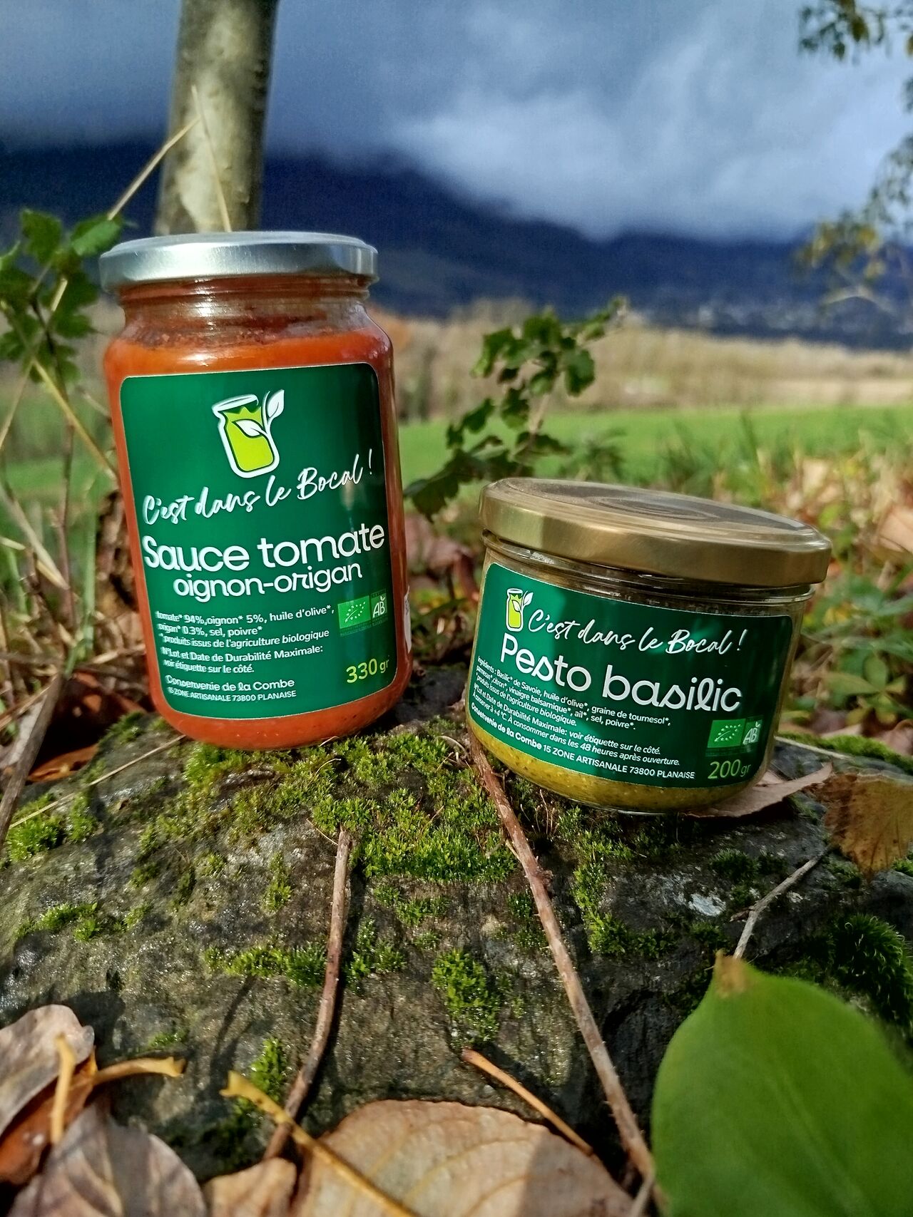 Sauce tomate oignon origan