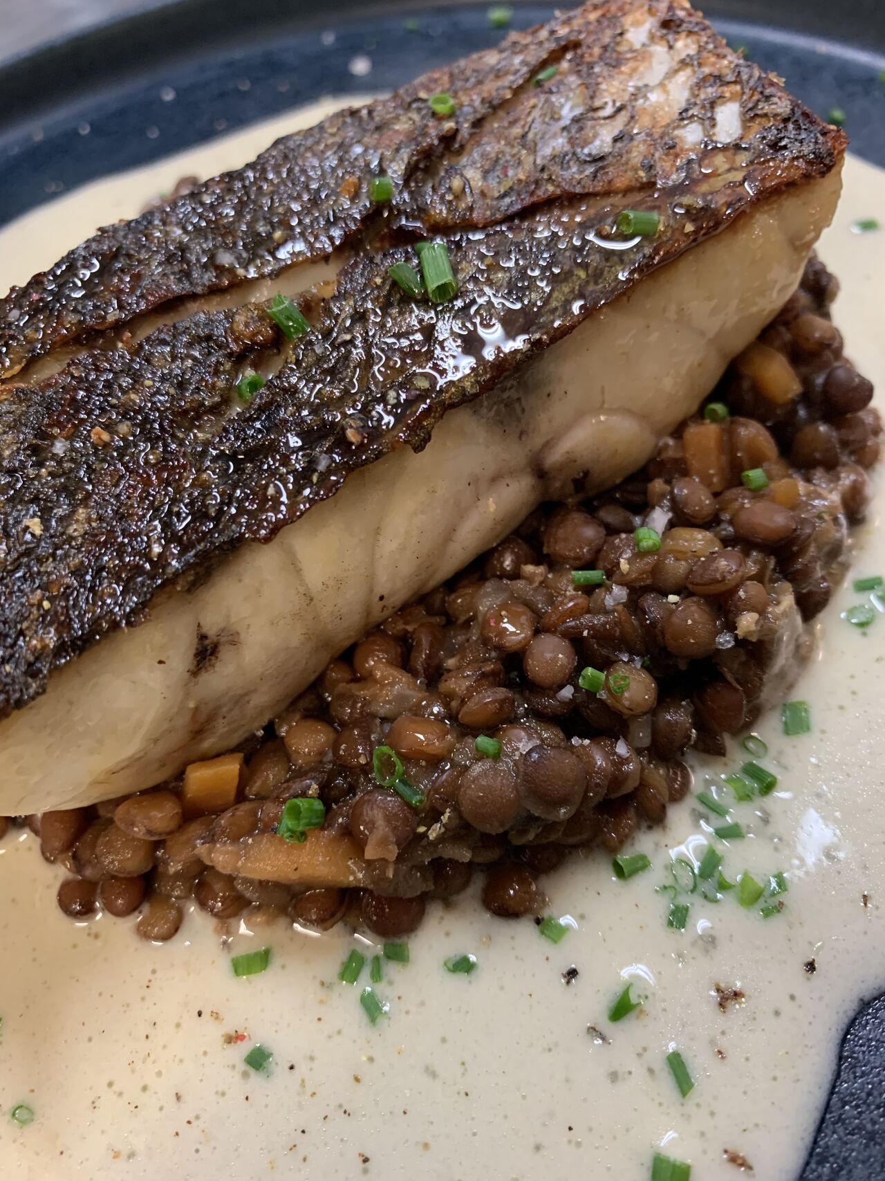 Le Maigre de Corse à la Plancha, Crème de Champagne et Lentillons Bio de la Champagne
