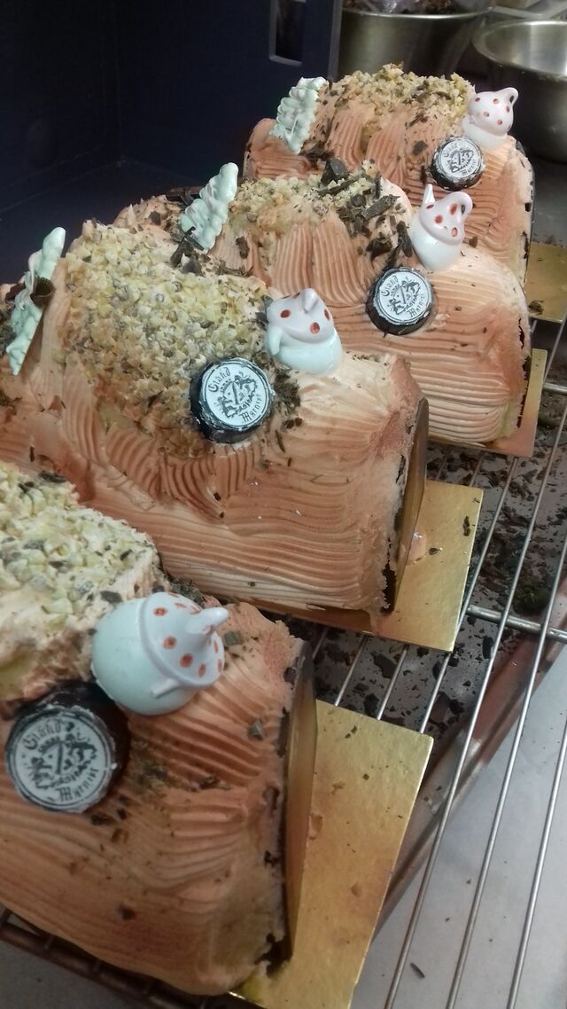 Les buches saison 2022