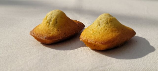 Madeleine citron