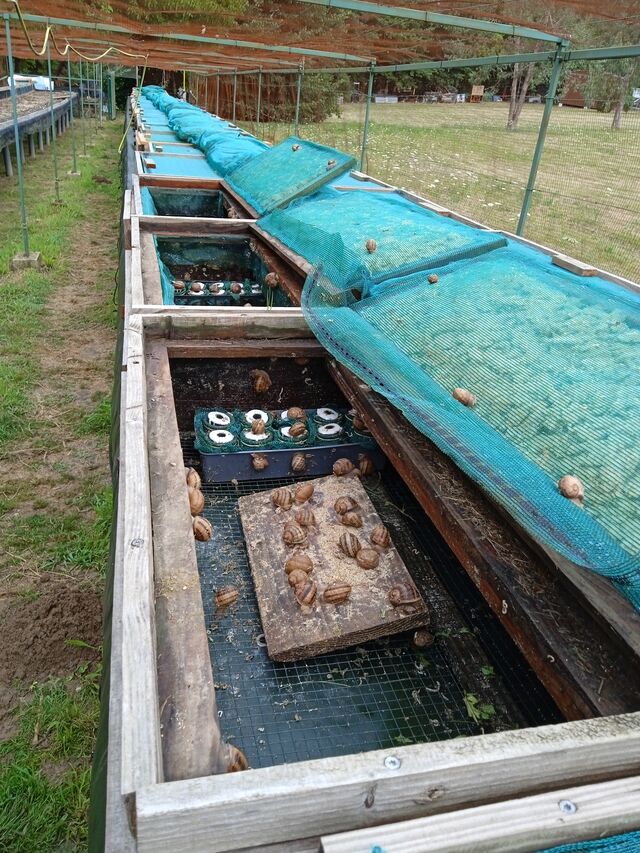 Parcs hors - sol dans une volière de Mai à Octobre