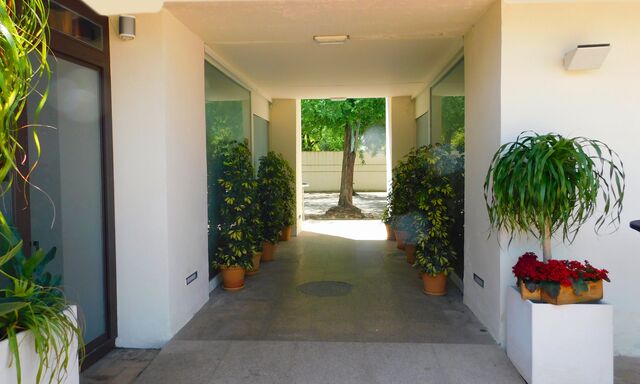 Entrada Alma Mater Terraza