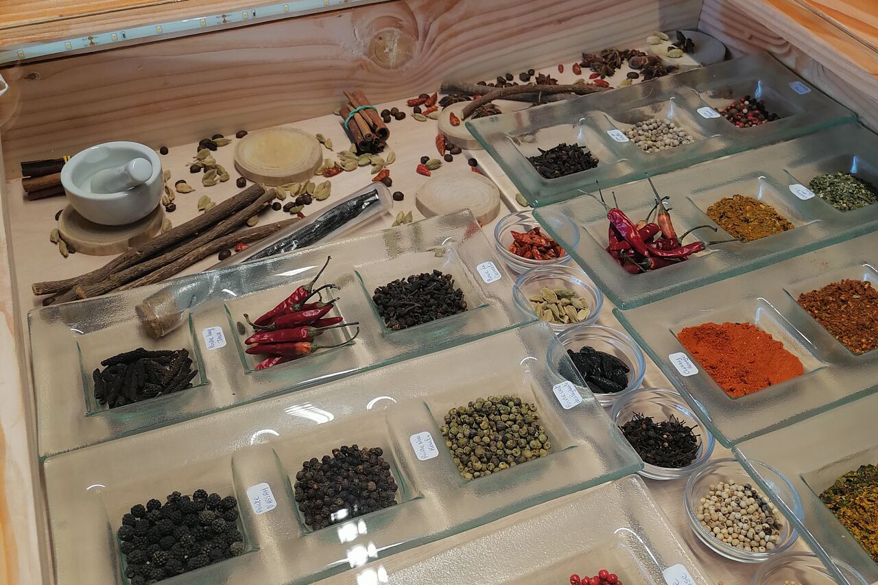 Atelier d'initiation