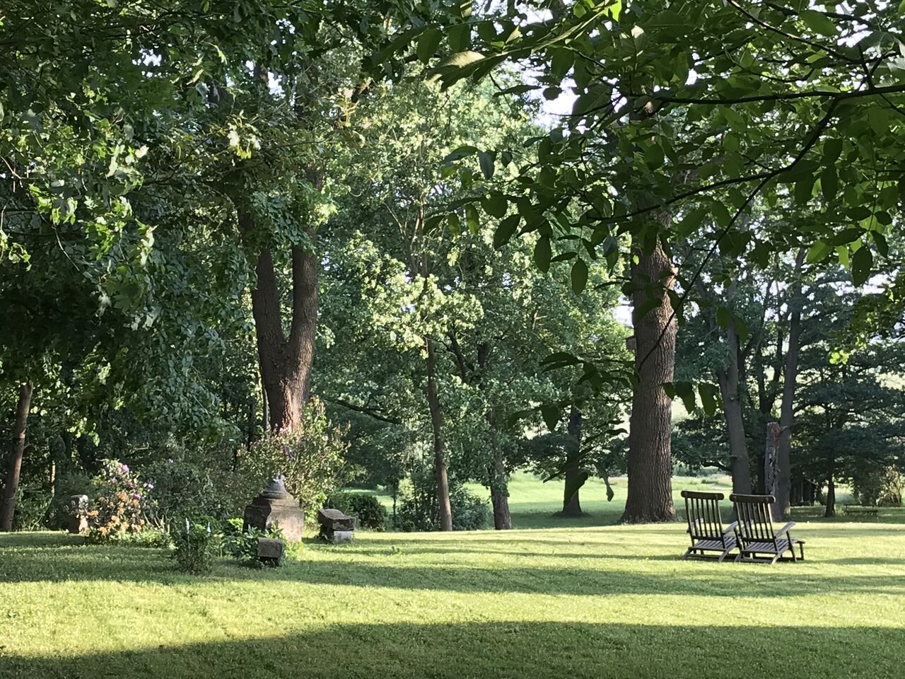 Südlicher Schloss-Park mit Blick zum Fiener Bruch 