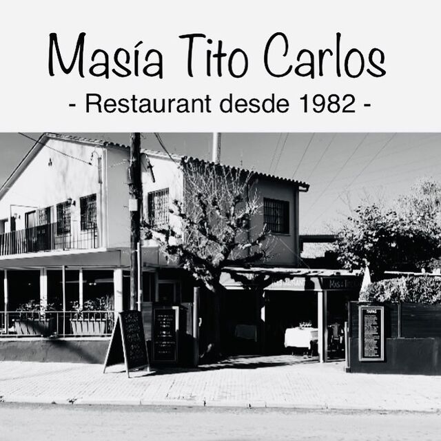 HISTORIA DE LA MASIA