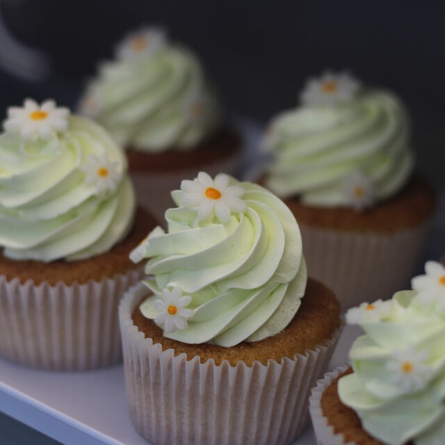 Cupcake Citron