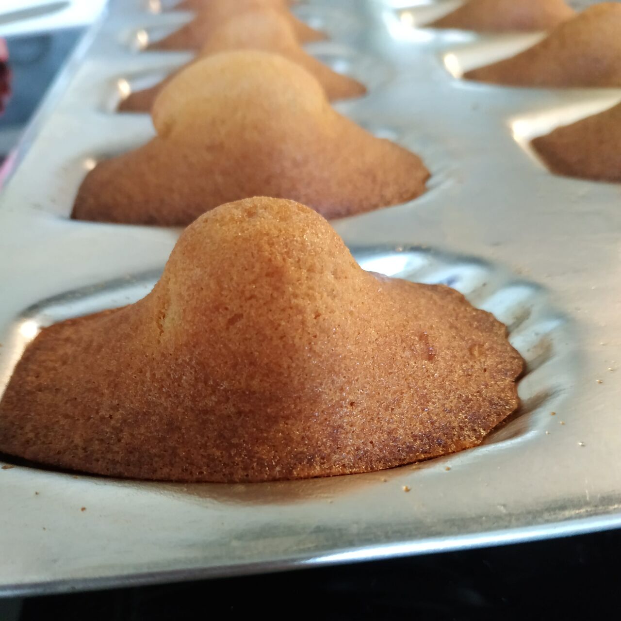 Mes madeleines au miel