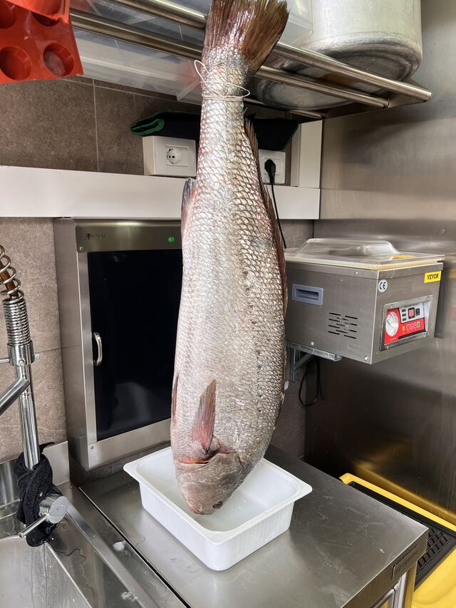 Ombrina 10 kg