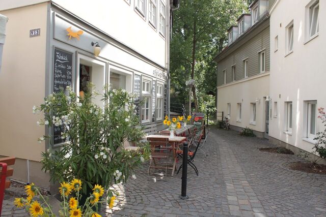 #Café Füchsen #Sommer #Sonnenblume #Oleander #Füchsen #Hütergasse 13 #Dämmchen #Café #bester Cappucchino #Live Musik