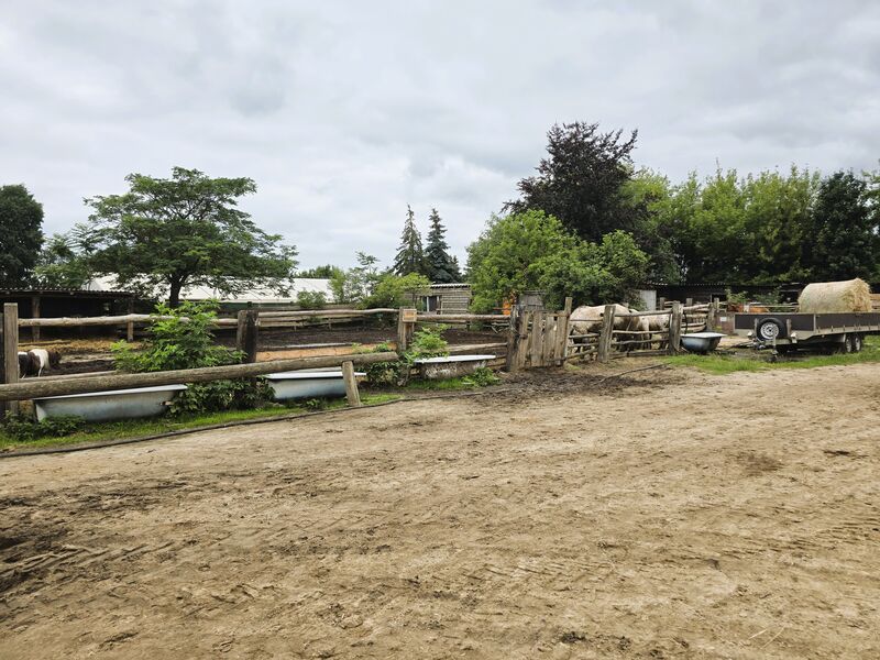 Zentrale Pferdekoppel