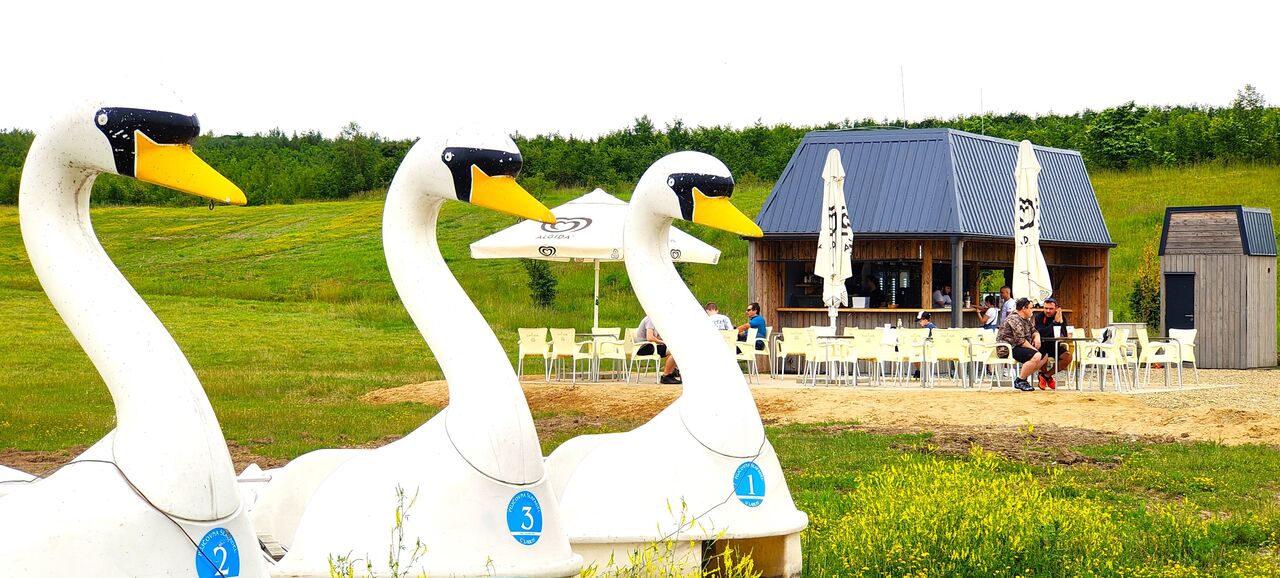 Máme k zapůjčení tři labutě šlapadla