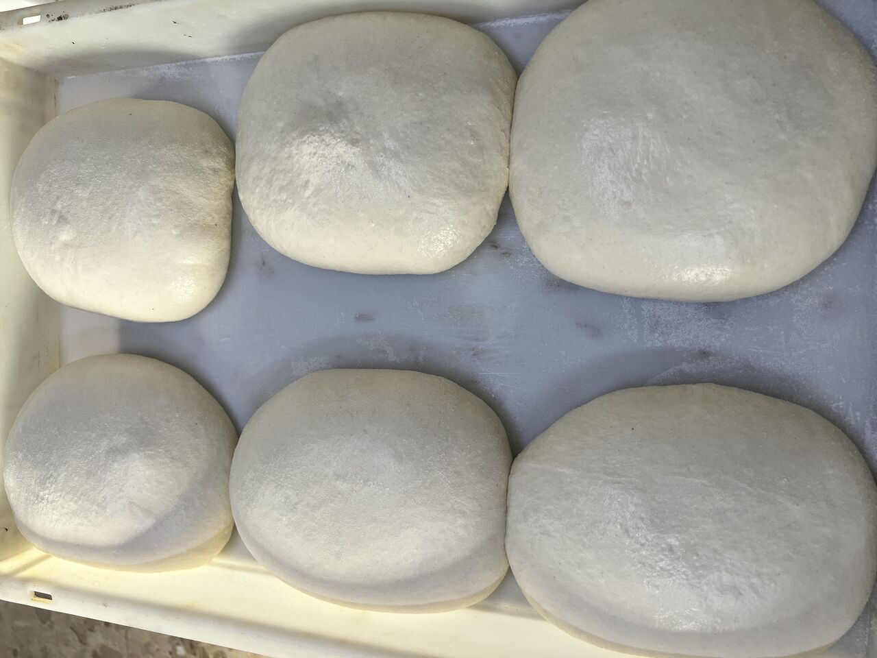 Lievitazione naturale