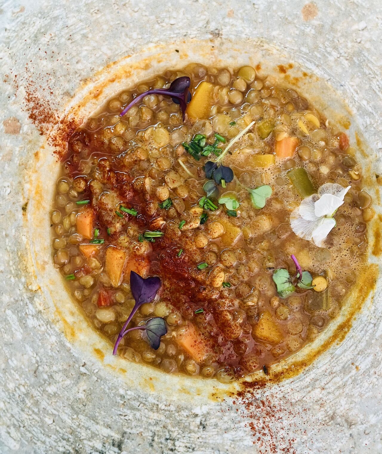 LENTIL SOUP