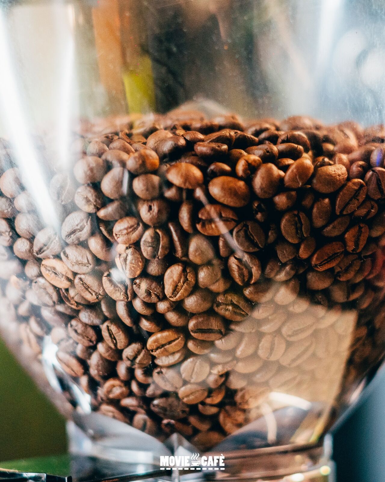 Custodiamo con cura ogni singolo Chicco della preziosa monorigine che serviamo ai nostri clienti