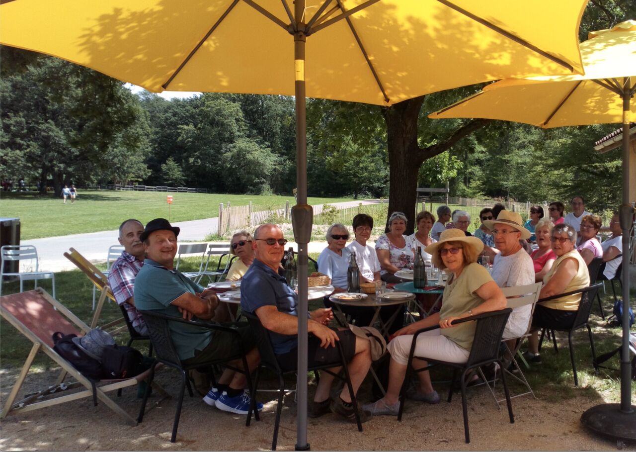 Pour un peu de fraicheur, notre chêne sera vous l'apporter