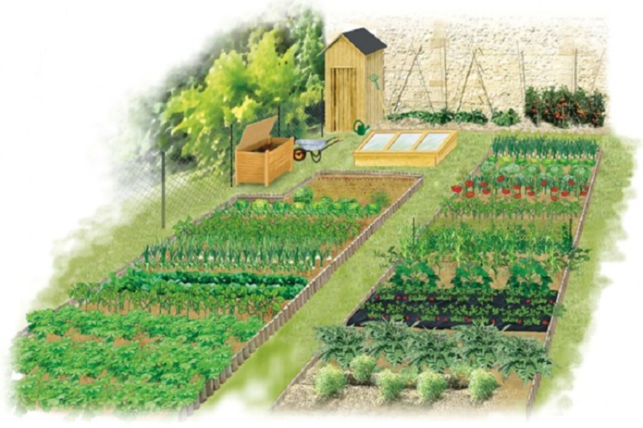 Une aventure au milieu des fruits et légumes