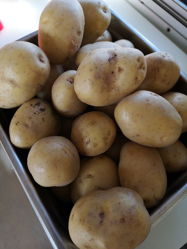 Pommes de terre en provenance de David Heno, exploitant agricole sur le secteur de Pontivy.