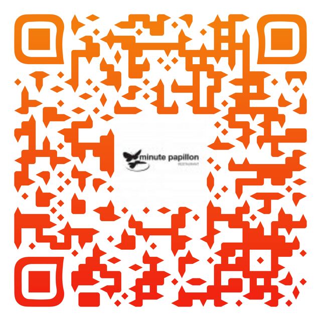 flash code Minute Papillon