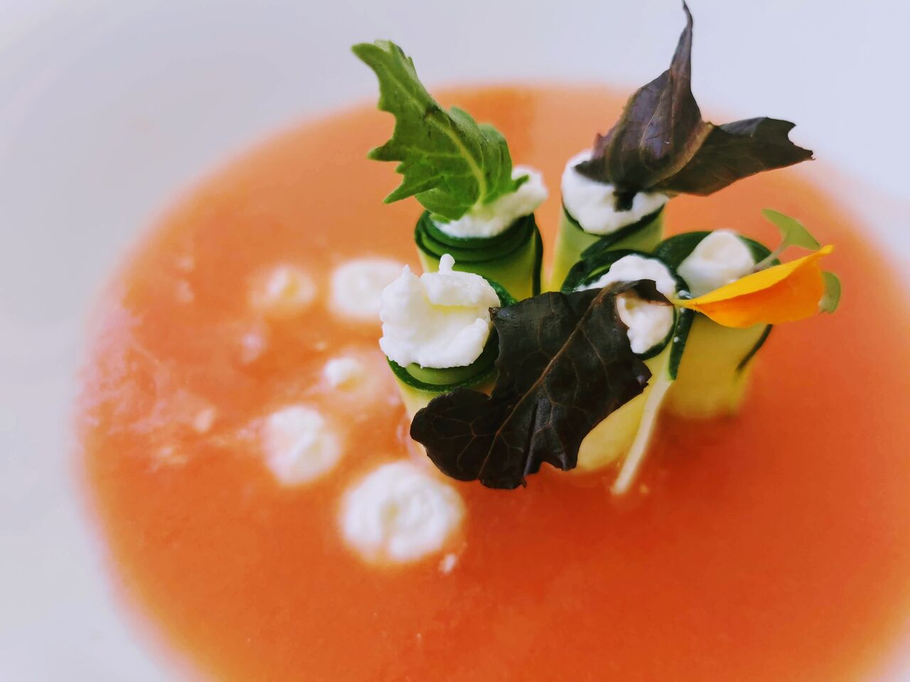 menu degustación