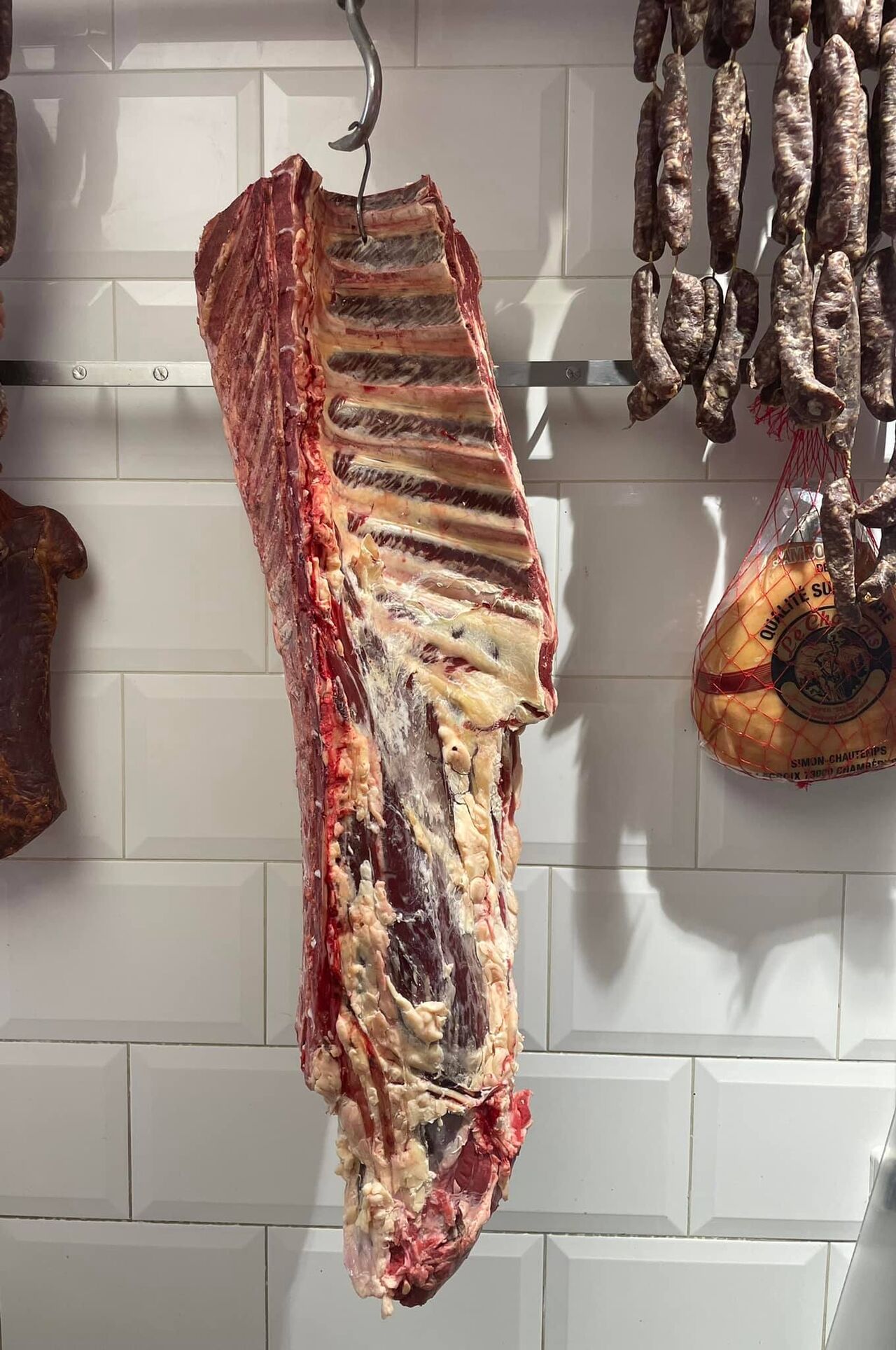 Magnifique déhanché charolais.