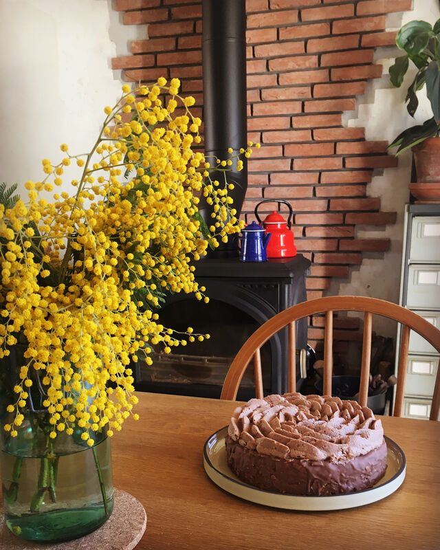 Gâteau gianduja - noisettes