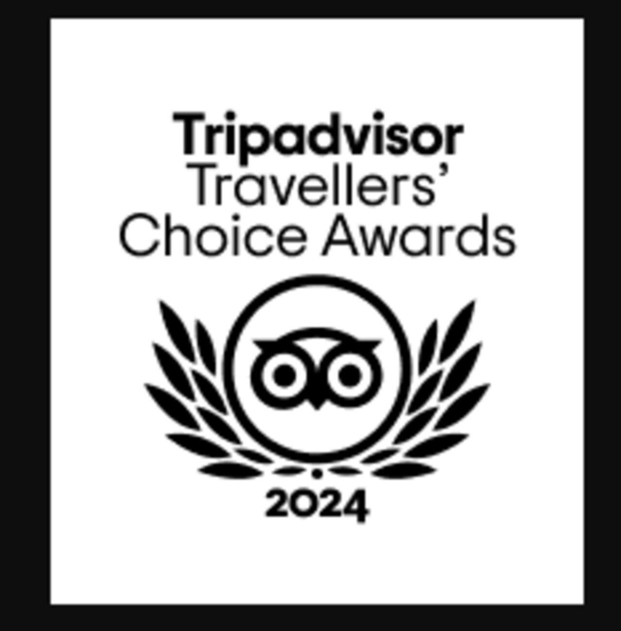 Tripadvisor Travellers' Choice Award