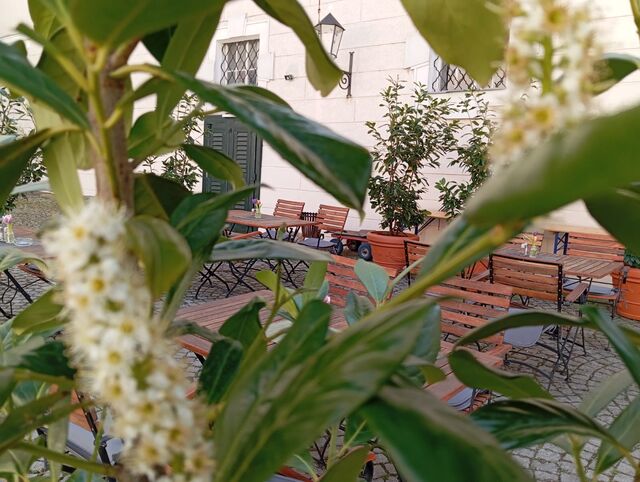 Unsere Terrasse - Blick 2