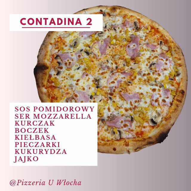 CONTADINA2