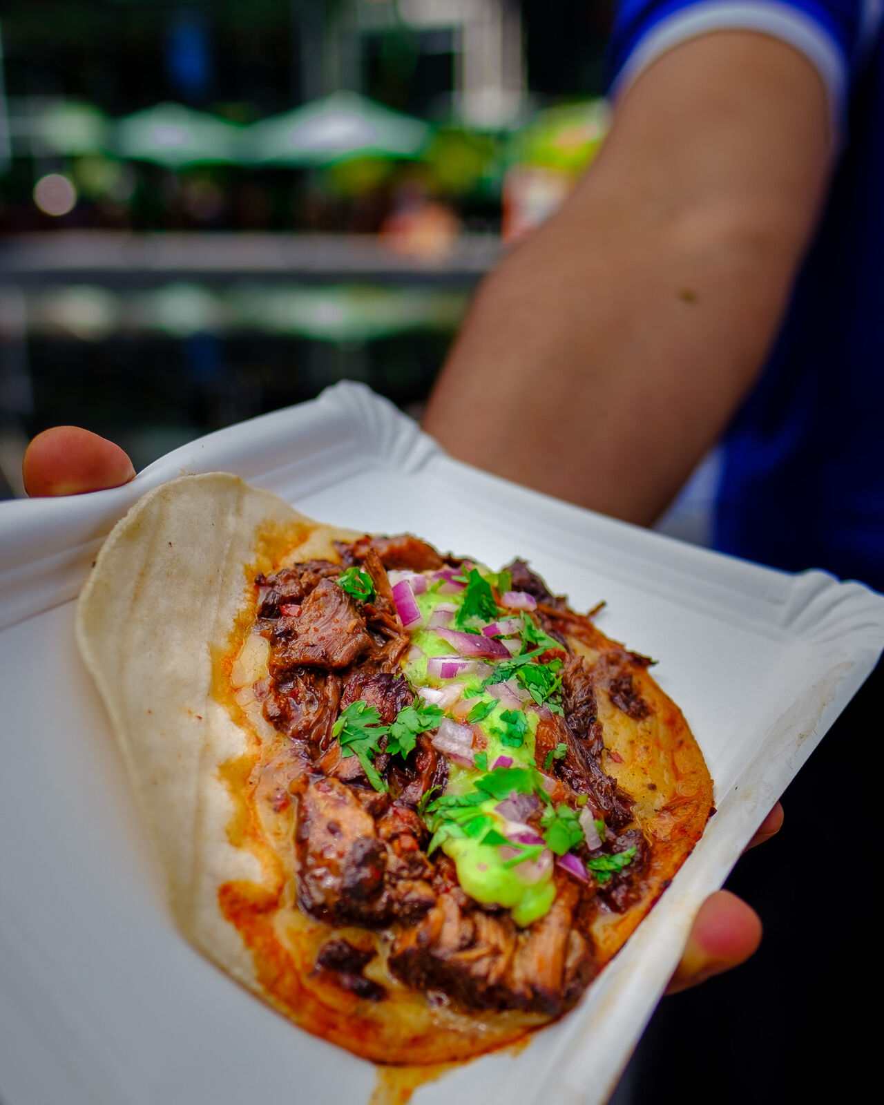 BIRRIA TACOS. Jalisco style, a combination of beef rib and brisket, slow-cooked for 8 hours with beautiful spices