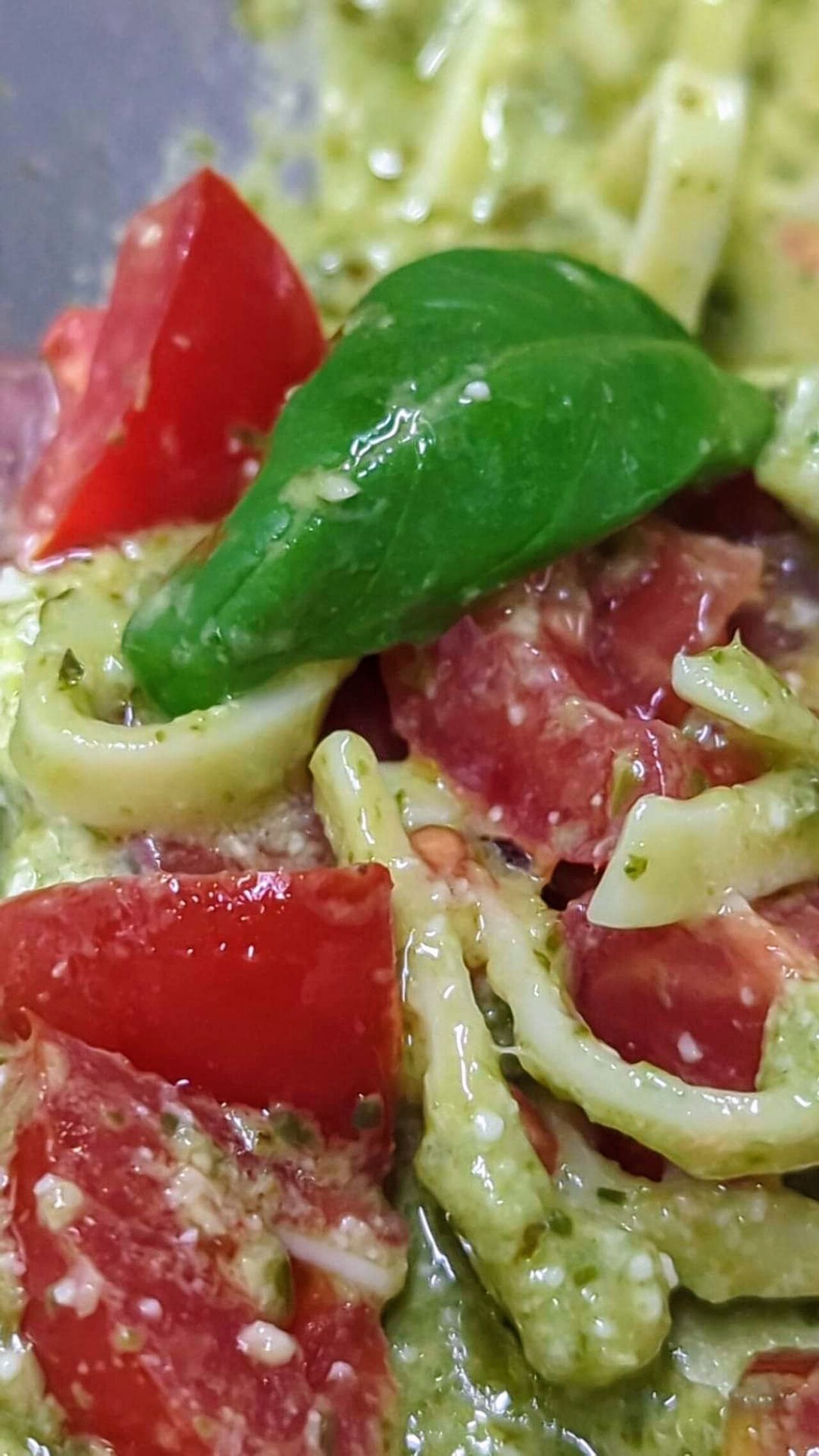 Scopri i nostri prodotti