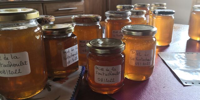 Le miel de nôtre ruche extrait au pressoir 